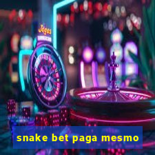 snake bet paga mesmo